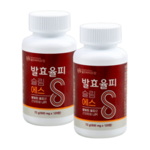 월드바이오팜 체지방커팅제 단백질 보충제 쉐이크 헬스 운동 부스터 발효율피 슬림에스 2통