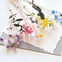 바보사랑 스타플라워와 허니테일미니다발.더봄, 퍼플