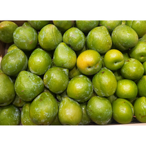 [HOT] 달콤한 초록 자두 영천 켈시 캘시 첼시 자두 청자두, 1kg 상 12~15과, 1개