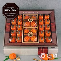 프레시데이 [농협] 고품격 장성 대봉 반건시 곶감 선물세트 특호 (햇살), 단품없음