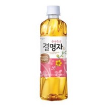 웅진식품 차음료 광명찾은 결명자 500mL 페트 12개, 2개