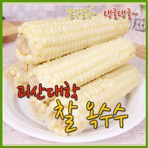 [개미네] 괴산 못난이대학찰옥수수 20개(4개씩포장), 상세 설명 참조, 상세 설명 참조