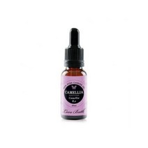 러브바스 아로마 페이스오일 동백, 20ml × 1개_one option, 1개