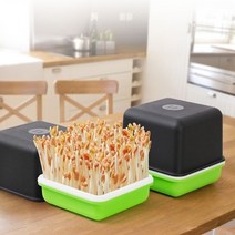 일음쇼핑^*n새싹 땅콩 콩나물 키우기 기르기 수경 재배기 공나물일음medi*^, ab*^선택없는