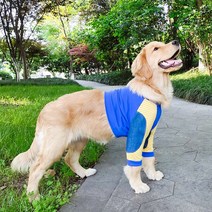 소형견 대형견 애완동물 보호대 반려견 보조기 애견 무릎 강아지, 옵션1, 8XL