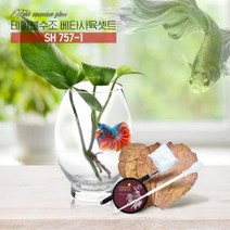 베타사육 풀세트구성 유리어항 SH 757 1 알몬드잎 뜰채 사료 스포이드.헬로아쿠아