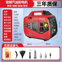 태양열 발전기 비상 휴대용 보국 전기 부동액 저소음, 1000W 수동 시동 + 220V