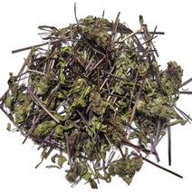야생 직접채취 손질 하고초 300g 꿀풀 깨끗한손질 자연건조, 하고초300g