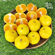 제주 서귀포 하우스귤 감귤 제주도 귤 밀감 3 5 10kg, 1박스, 5kg 대과(L-2L)