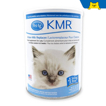 펫에그 KMR 새끼고양이 아기고양이 분유 340g, KMR 고양이분유 340g, 밸버드 젖병 1개