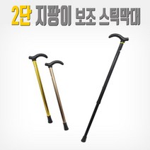효도지팡이(2단) 노인 실버 시니어 보행보조 패션 요양 지팡이 선물용, 1개, 02_브라운