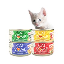 CATSOME 붐캣 고양이캔 80G 24개입(1BOX), 참치+연어