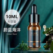 차량용 전기 아로마 디퓨저 에센셜 오일 사용 자동차 방향제 향기 공기 청정기 향수 가습기 상자, 03 3 Bottles Ocean
