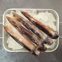 국내산 선동 총알 초코 오징어 1kg 숙회 통찜