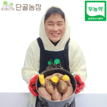 산지직송 해남 친환경 무농약 유기농 고당도 스테비아급 고구마 베니하루카, 5kg/한입/개당 50g이하