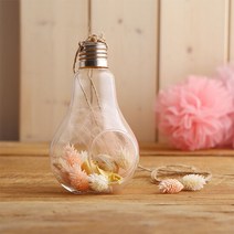 전구모양 행잉볼 테라리움 유리꽃화병 (소), 단품