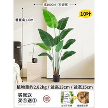 인조 바나나나무 인조목 모조 야자 관엽 휴양지 식물, 여행자 바나나 160cm