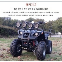 ATV 4륜 오토바이 농업용 바이크 해변 4륜바이크, 리틀 불 패키지 2