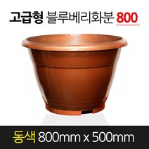 서경농원 고무 블루베리화분 고급형 동색 800 x 500 원형 분갈이
