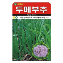 아람종묘 두메부추 100립 두메부추씨 두메부추종자 두메부추씨앗