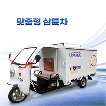 전동 스쿠터 삼륜차, 레드, 전동 삼륜차
