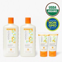 [안달로우 공식] 아르간 오일 시어버터 너리싱 샴푸 2개 + 50ml 샴푸&컨디셔너, 1개