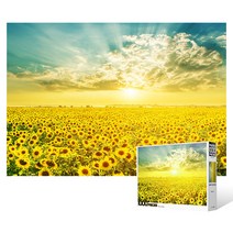 1000피스 직소퍼즐 / 해바라기들판의 환상적인 일출Ⅳ