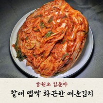 김춘자 맛있는 전라도 보쌈 생김치 맛있게 매운 실비김치 1KG 3KG 5KG 10KG 포기김치 배추김치 국내산100% 국산김치주문