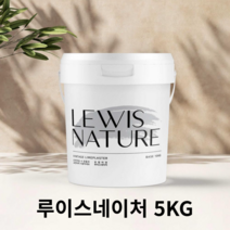 루이스네이처 유럽미장 천연 빈티지 라임플라스터 셀프미장재 5kg, 1개