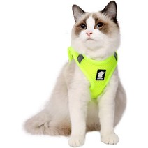고양이캣휠 캣휠 고양이휠Heywean 고양이 하네스 및 목줄 - 초경량 탈출 방지 칼라 러, 02 Small_04 터키석.