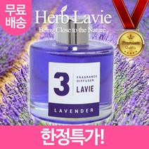 라비에 허브타임 차량용 자동차방향제 라벤 더 다 화이트머스크 프롯 블루베리 프릇 레드 라벤더 푸릇, 쿠팡1 아이스초코 애플