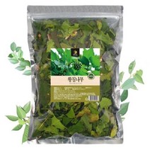 황칠나무 500g, 본상품선택, 본상품선택