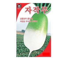 SN월드 뿌리채소 씨앗 무 당근 양파 알타리무 비트 콜라비 과일무, 자작무