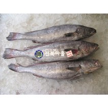 목포 자연산 민어 2kg 민어부레 민어회 매운탕 신안민어, 민어(매운탕용)