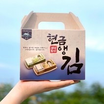 셀렉트포유 센스있는 부모님 생신 어버이날 환갑 현금 앵김 용돈 박스 이벤트 봉투 세트, 현금앵김박스1개 용돈봉투10장