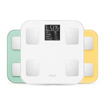 니트니 SMART-H 스마트인 바디 체중계 정확한 몸무게 체지방 가정용 전자 저울, SMART-H 화이트