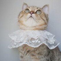 애완 동물 레이스 양산 모자 고양이 개 옷 후드 귀여운 강아지 선스크린 조명 액세서리, 02 bib_04 one size
