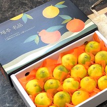 제주 황금향 선물용 선물세트 1kg 2.5kg 4.5kg 제주직송 당일수확 신선배송, 선물용 4.5kg중과(16-24과 내외)