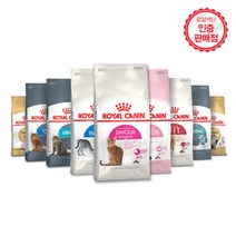 로얄캐닌 고양이 사료 400g 소포장 모음, 베이비캣 400g