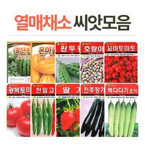 [에타홈] 열매채소 씨앗, 알록이찰옥수수