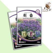 히솝 200립 세계종묘 화훼류 씨앗, 1개
