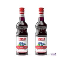 토스키 블루베리 시럽 1000ml x 2개 TOSCHI