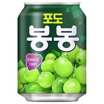 해태음료 포도봉봉 238ml x 24캔입, 상세페이지 참조, 1