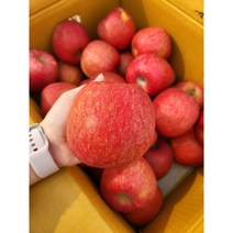 장수사과 친환경 사과 부사 흠집사과 흠사과 1.5KG 2.5KG 5KG 10KG, 흠사과 대과 10KG, 1개