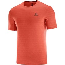 Salomon 남성용 XA 티셔츠 발삼 그린/헤더 스몰, Small, Valiant Poppy/ Heather