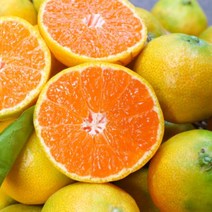 [10월4일순차발송] 제주도직송 서귀포 노지 극조생 귤 5KG+5KG, 1개, 10kg