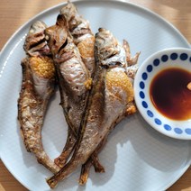 햇 도루묵 조업시작 속초 고성 조업 알도루묵 생물 생선 구이 반건조 알배기, 급냉 알도루묵 10미