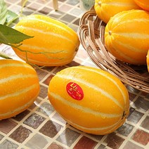 혼자먹기 참-외롭다 알뜰 성주 꿀 참외 5kg, 1box, 알뜰 참외 랜덤  5kg