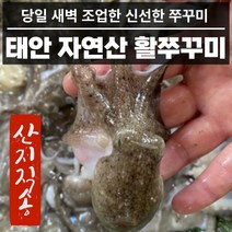 해남 뻘낙지 산낙지 사이즈별 산지직송 당일배송, 중대낙지5마리