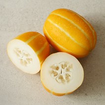 산지직송 성주 참외 2kg 5kg 9kg 산지명물참외 제철 효능 꿀참외 하우스, 1박스, 03.가정용참외 2KG 부자재무게포함 (소과)